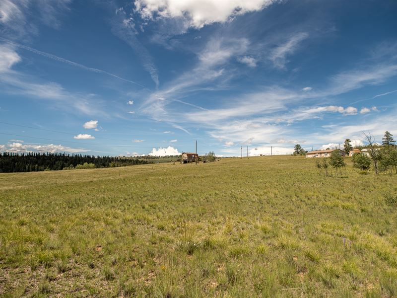 RV Friendly Lot with Power : Como : Park County : Colorado