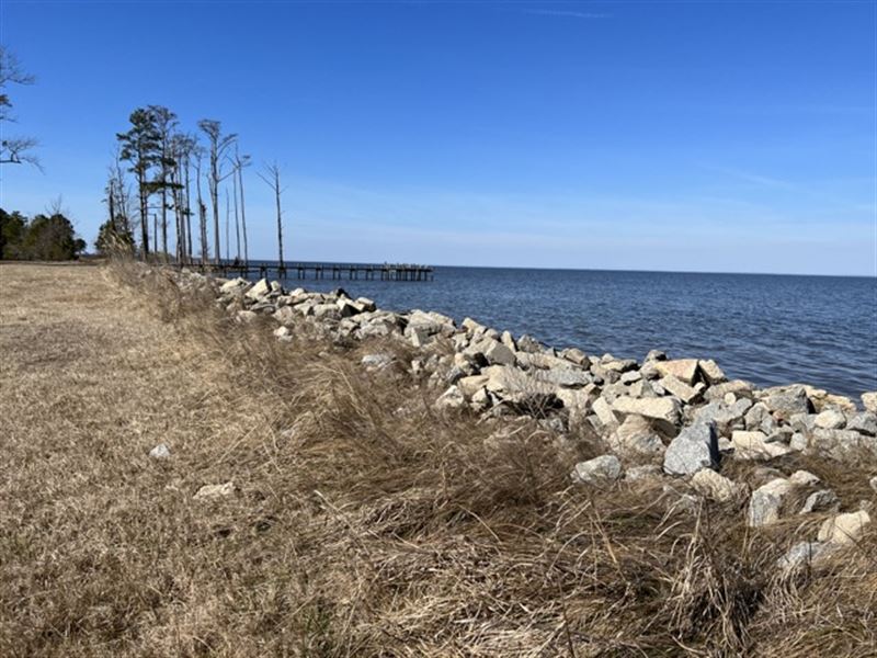 Waterfront Lot, Albemarle Sound : Columbia : Tyrrell County : North Carolina