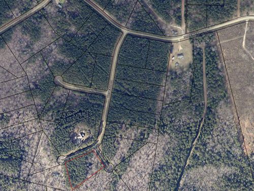 Wooded Residential Acreage : Elberton : Elbert County : Georgia