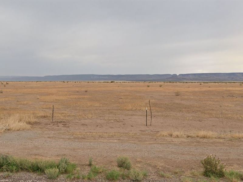 Get Some Quality Time with Family : Marfa : Presidio County : Texas