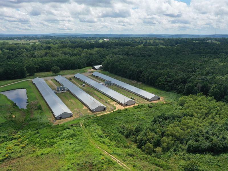 McKinney Broiler Farm : Boaz : Etowah County : Alabama