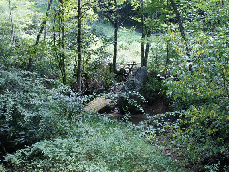 Creek Front Acreage in Mountains : Independence : Grayson County : Virginia