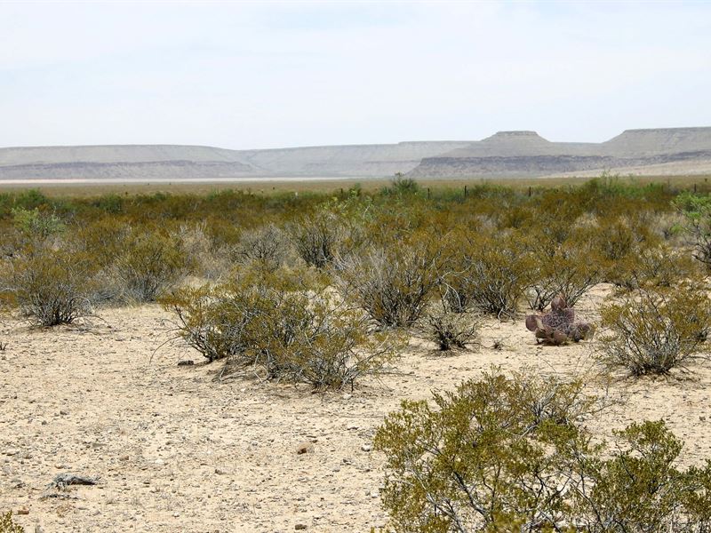20 Acre Ranch to Call Your Own : Fort Hancock : Hudspeth County : Texas