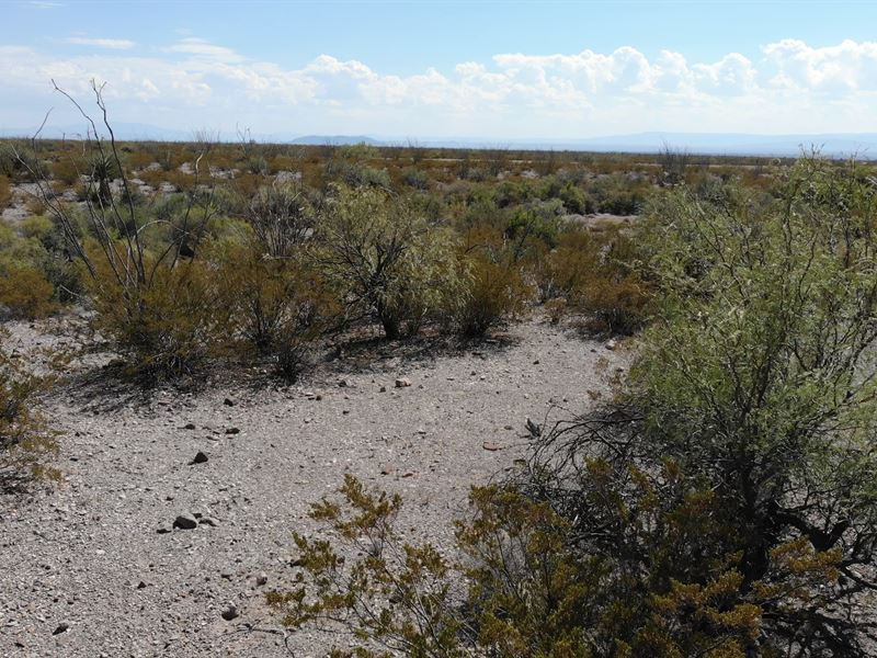Remote 20 Acres with Easy Access : Adobes : Presidio County : Texas