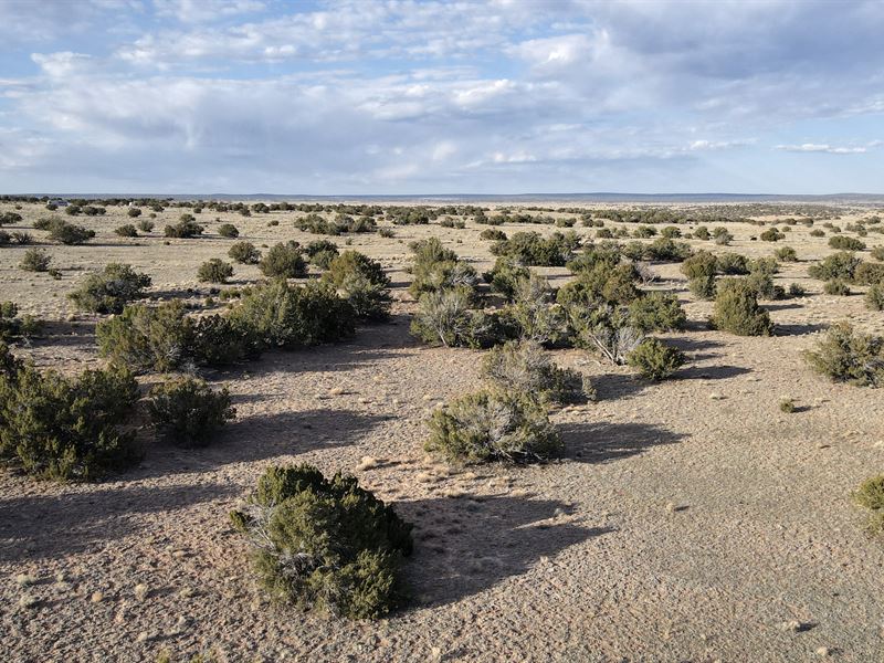 1 Acre with Power and Paved Road : Chambers : Apache County : Arizona