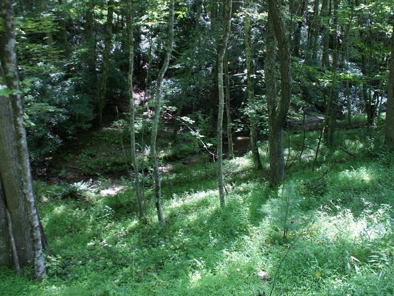 Creek Front Property with Utilities : Independence : Grayson County : Virginia