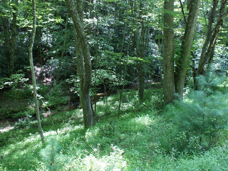 Acreage with Mountain Creek : Independence : Grayson County : Virginia