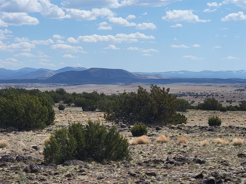 Valuable Property Outside The City : Concho : Apache County : Arizona