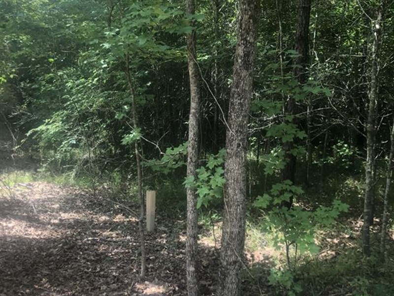 Lot in Hope Hull Community : Hope Hull : Montgomery County : Alabama