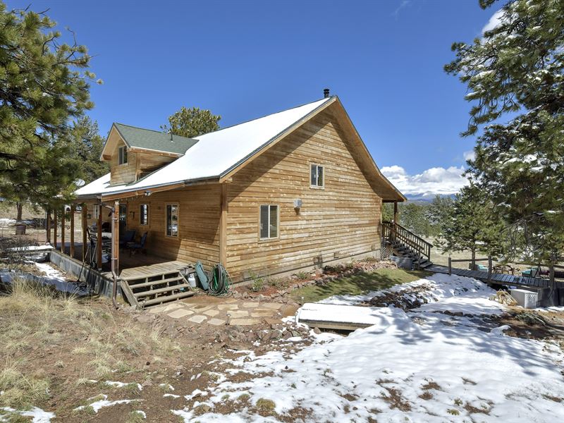 Colorado Mountain Home for Sale : Guffey : Park County : Colorado