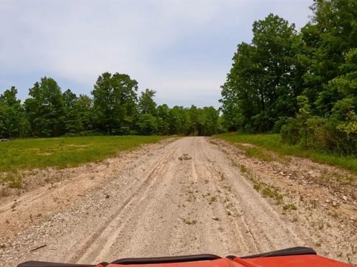 Owner Financed Land In MO : West Plains : Howell County : Missouri