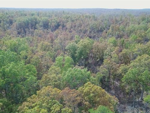 $500 Down On Rec Land : Eminence : Shannon County : Missouri