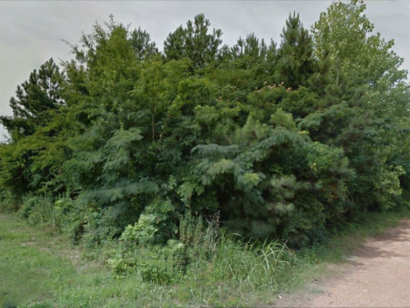 .12 Acre in Leflore County, MS : Greenwood : Leflore County : Mississippi