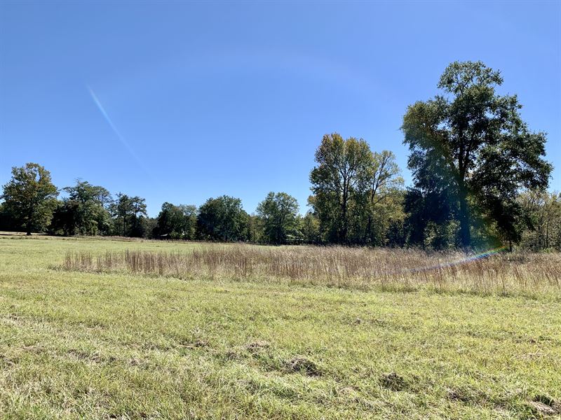 Great Building Lot with Pasture : Milledgeville : Baldwin County : Georgia