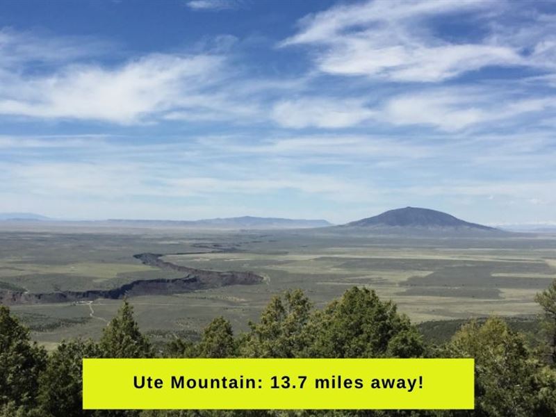 Near Rio Grande River and Ute Mtn : San Luis : Costilla County : Colorado