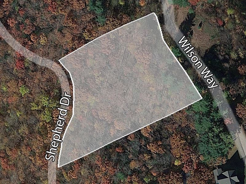 Best Mountain Views, Shiloh Stables : Hayesville : Clay County : North Carolina