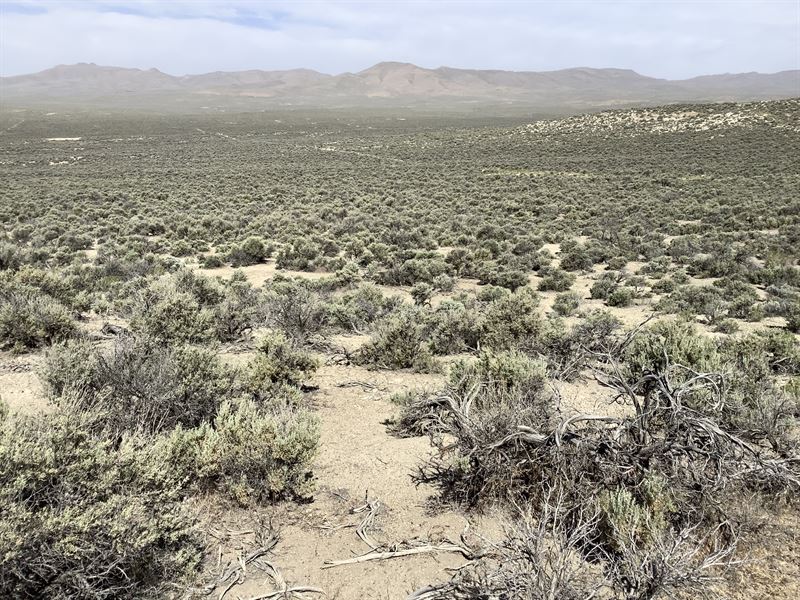 Recreational Land to Live Off-Grid : Elko : Elko County : Nevada