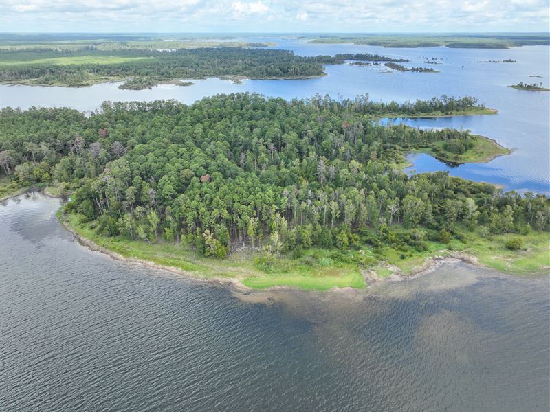 5 Acres, T-6 Lost Wood Point : Broaddus : San Augustine County : Texas