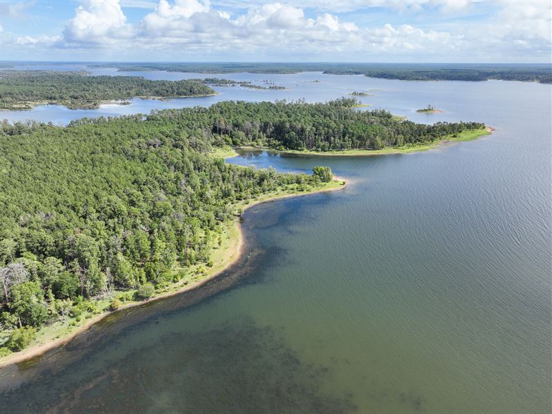 4 Acres, T-13 Lost Wood Point : Broaddus : San Augustine County : Texas