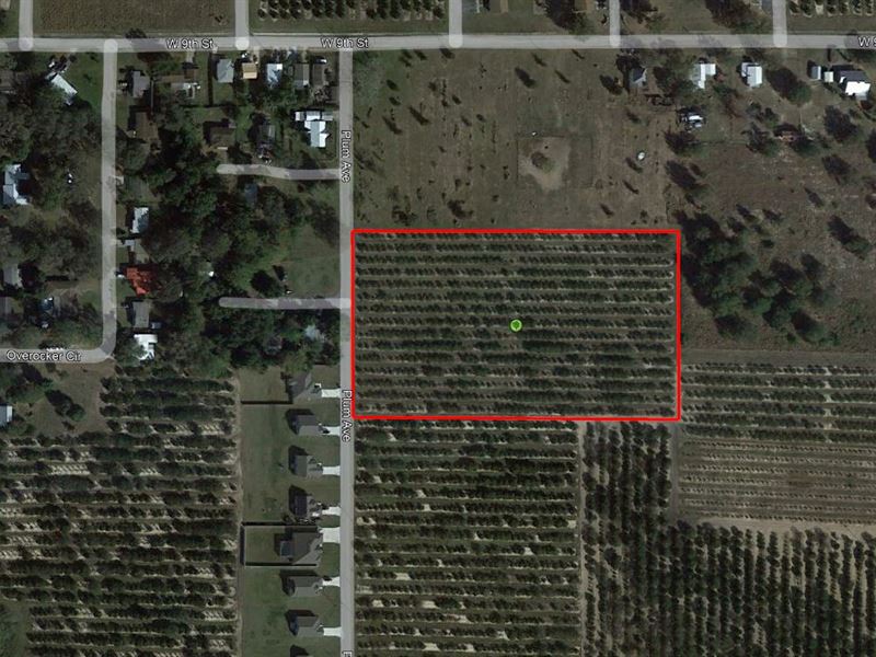 5.9 Acres Of Prime Residential Dev : Frostproof : Polk County : Florida