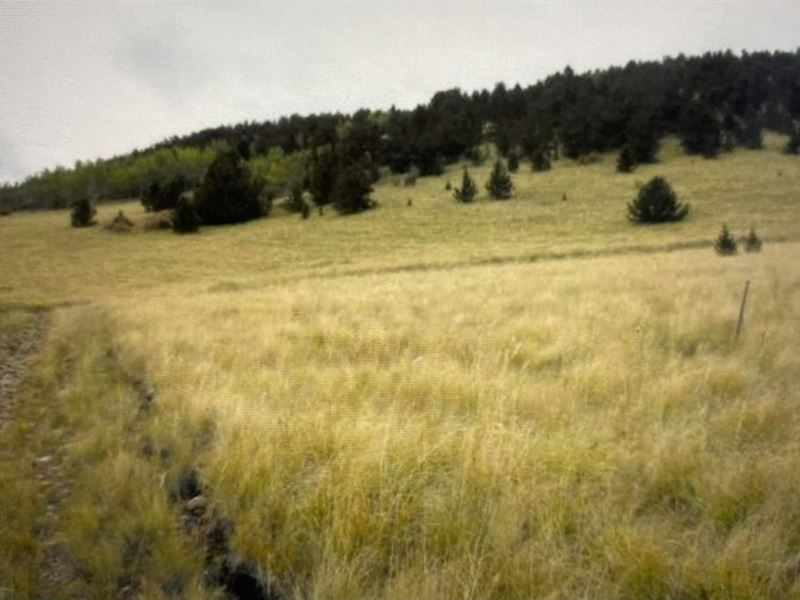 1-15-70 & 6-15-69 10219 Metropole : Cripple Creek : Teller County : Colorado