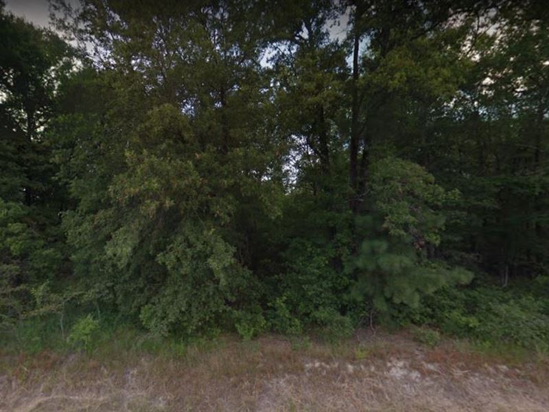 Homesite Lot Near Jim Brown Rd : Ashdown : Little River County : Arkansas