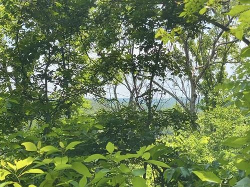 Owner Financed Land in MO : Ava : Douglas County : Missouri