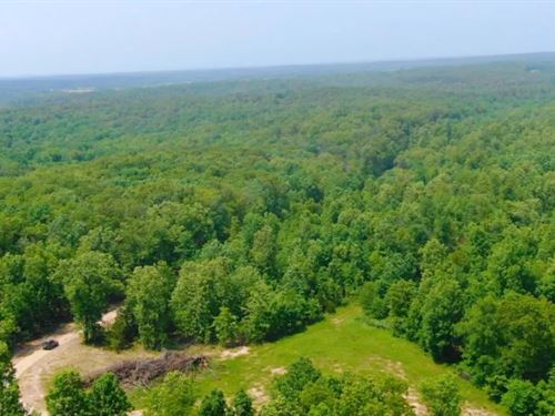 Owner Financed Land in MO : West Plains : Howell County : Missouri