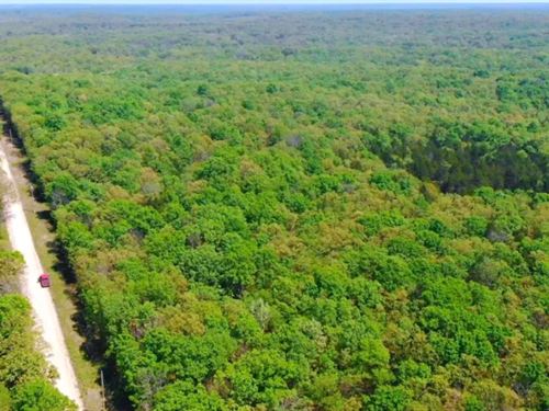 No Credit Check On MO Land : Camdenton : Hickory County : Missouri