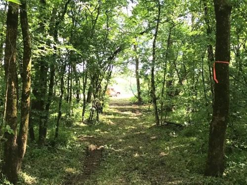 Owner Financed Land In MO : Fordland : Webster County : Missouri