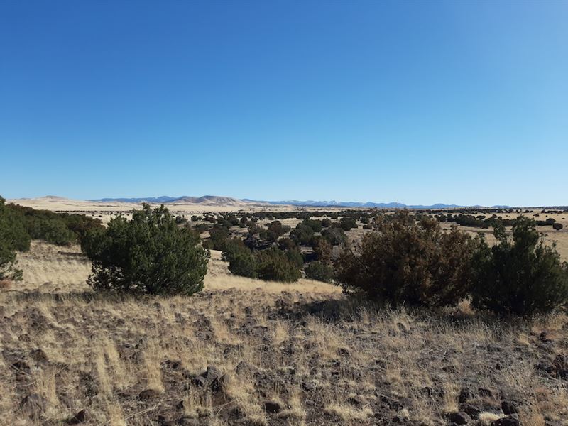 Postcard Perfect Land : Concho : Apache County : Arizona