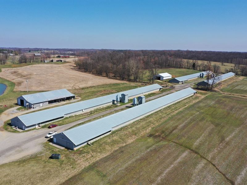 Price Reduced, Cheatham Farm : Calhoun : McLean County : Kentucky