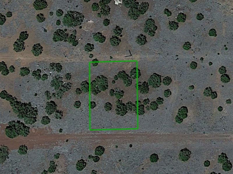 Near Golf Club and Nat'l Forrest : Show Low : Navajo County : Arizona