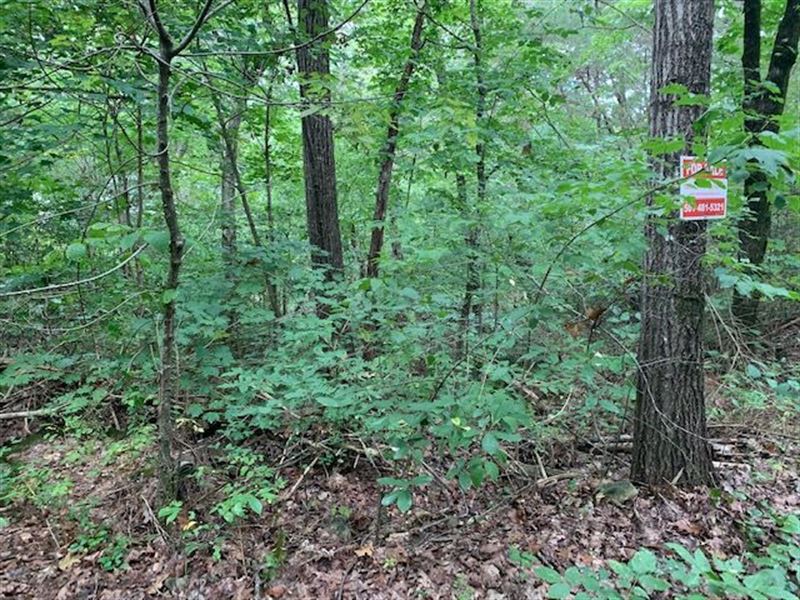 Rv, Camper Lot Mountain Home Lot 90 : Mountain Home : Arkansas County : Arkansas