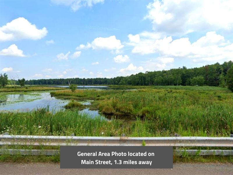 1.50 Acres in Lackawanna County, PA : Clifton : Lackawanna County : Pennsylvania