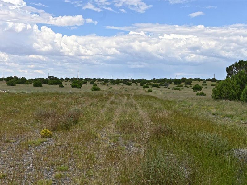 Windsor Valley Ranch : Concho : Apache County : Arizona