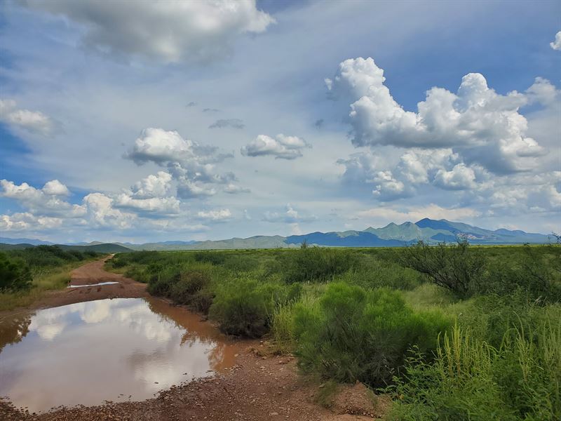 2 Parcels in Elfrida, AZ : Elfrida : Cochise County : Arizona