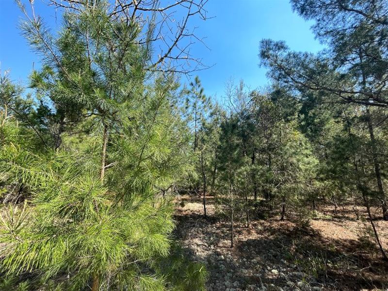Mobile Camper Lot on Boston Ave : Interlachen : Putnam County : Florida