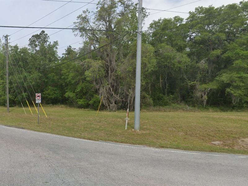 1.50 Acre Lot in Brooksville, FL : Brooksville : Hernando County : Florida