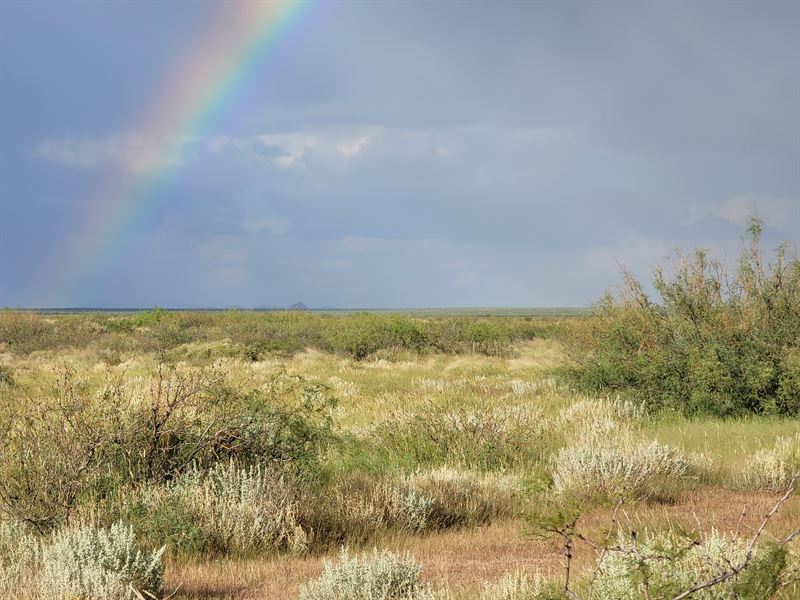 1 Acre of Fearless Living, $99/Mo : Deming : Luna County : New Mexico