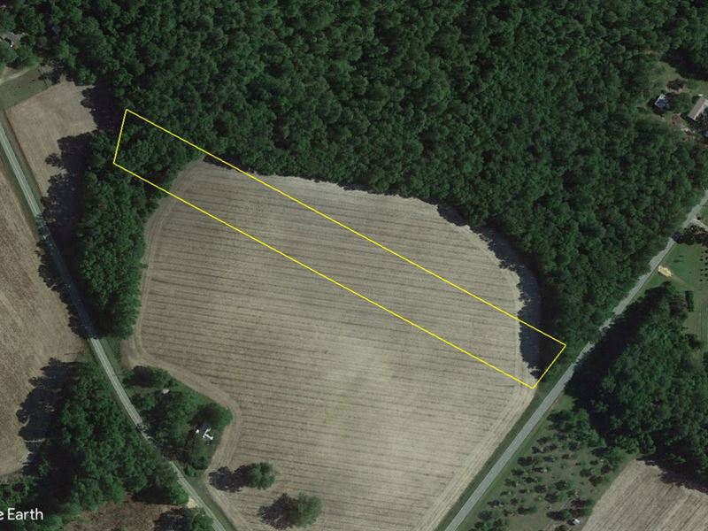 4 Acres on Bonham Rd : Jesup : Wayne County : Georgia