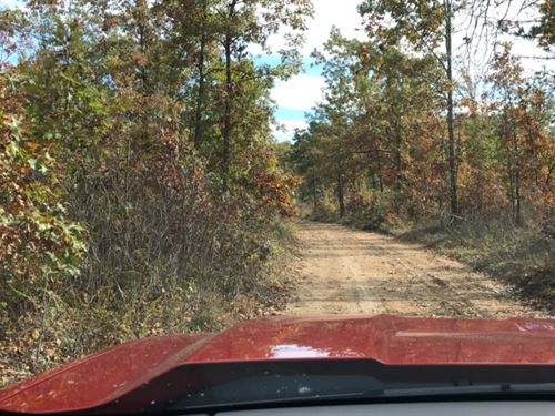 Owner Financed Rec Land : Eminence : Shannon County : Missouri