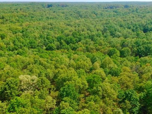 Owner Financed 10 Acres : Macks Creek : Camden County : Missouri
