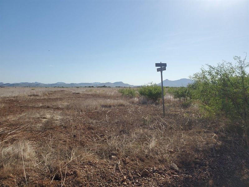 2 Lots in Douglas, AZ : Douglas : Cochise County : Arizona