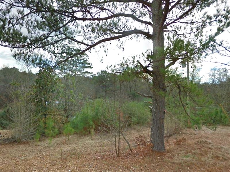 .38 Acre in Itawamba County, MS : Fulton : Itawamba County : Mississippi