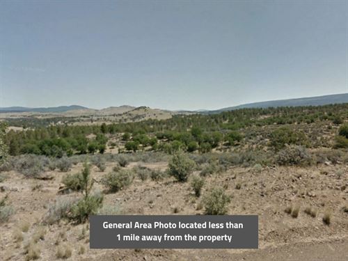 2.5 Acres in Siskiyou County, CA : Montague : Siskiyou County : California