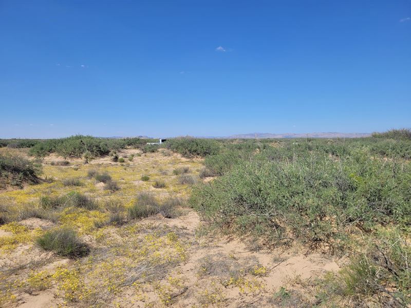 Thrive in a Peaceful Setting : El Paso : El Paso County : Texas