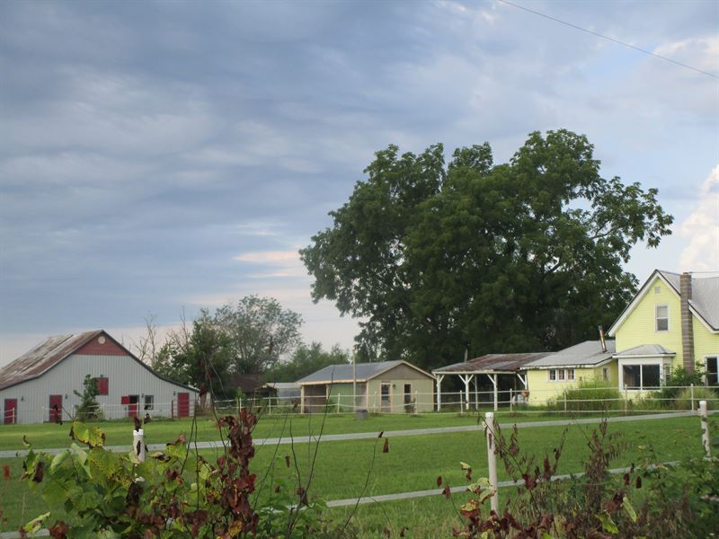 Horse Farm in Missouri : Willow Springs : Howell County : Missouri