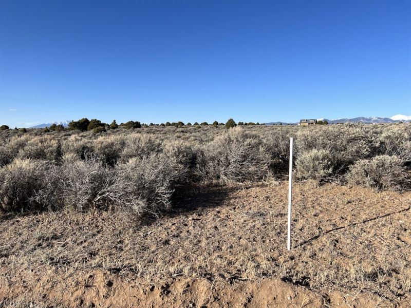 Peace & Tranquility Land : San Luis : Costilla County : Colorado