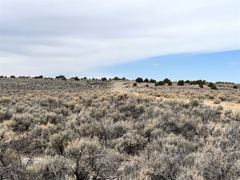 Adjacent Lots in Wild Horse Mesa : San Luis : Costilla County : Colorado